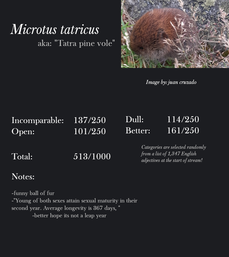 Microtus tatricus